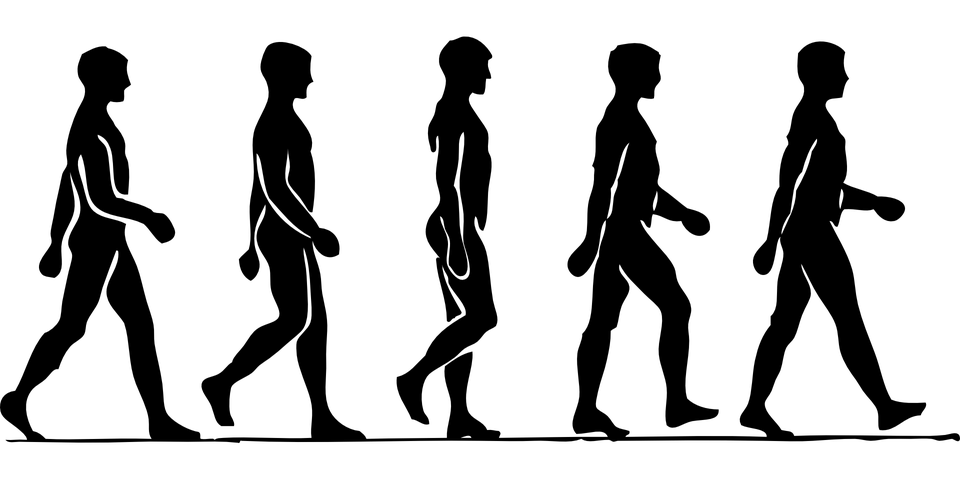 anima